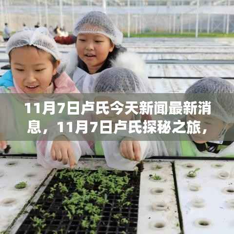 11月7日卢氏探秘之旅,自然美景与心灵宁静的追寻