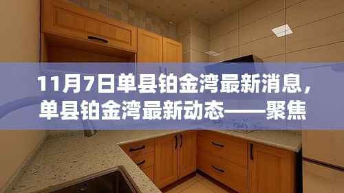 聚焦单县铂金湾,最新动态与要闻尽在11月7日