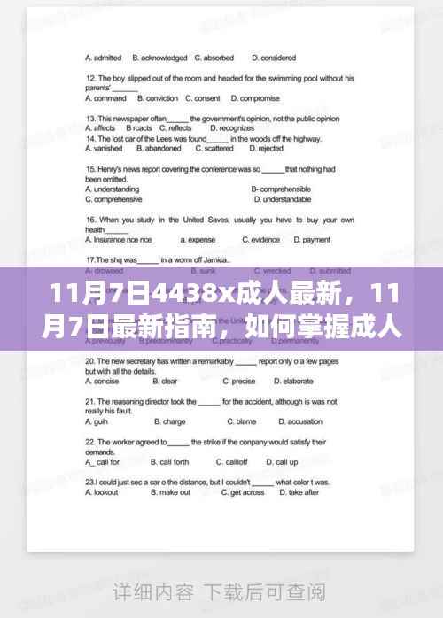 掌握进阶技能,成人学习指南与最新学习技能解析