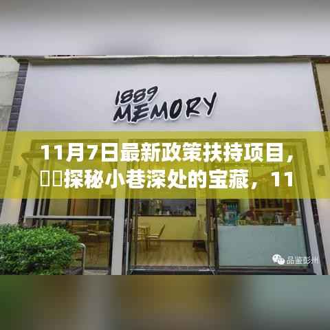 探秘小巷深处的宝藏,新政策扶持特色小店的成长之路(11月7日最新政策解读)