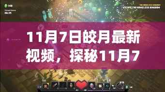 探秘11月7日皎月视频中的小巷隐世美食馆,独特环境与美味佳肴揭晓!