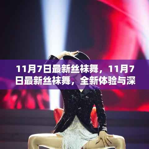 11月7日最新丝袜舞,全新体验与深度解析