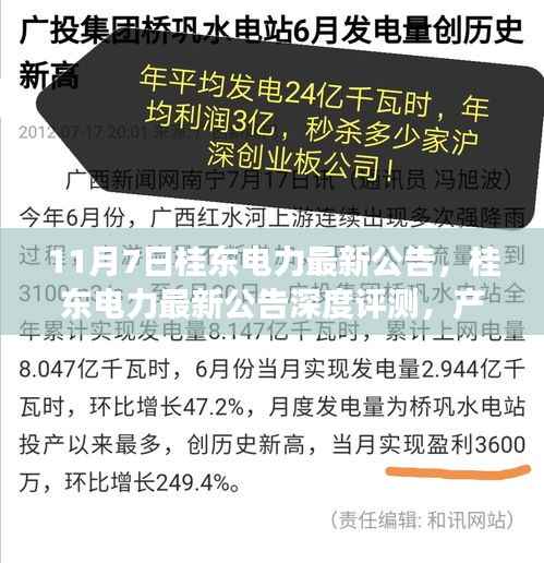 桂东电力最新公告解析,产品特性、用户体验与市场竞争力深度评测