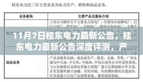 桂东电力最新公告解析,产品特性、用户体验与市场竞争力深度评测