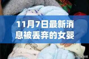 被丢弃女婴事件最新消息与深度探讨