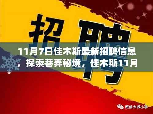 佳木斯11月7日招聘信息揭秘,巷弄秘境中的职业机会探索
