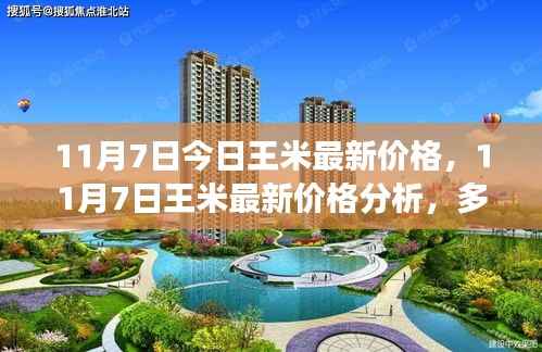 11月7日王米最新价格走势,多方观点交织的思考与分析