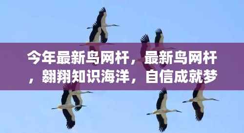 最新鸟网杆,翱翔知识海洋,开启梦想之旅