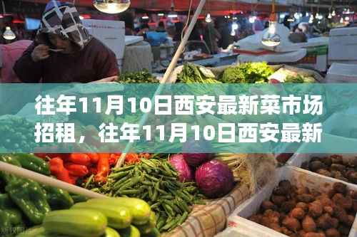 往年11月10日西安菜市场招租信息大汇总,最新招租信息及汇总报告