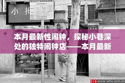 本月最新性闹钟,小巷深处闹钟店的奇妙探索之旅