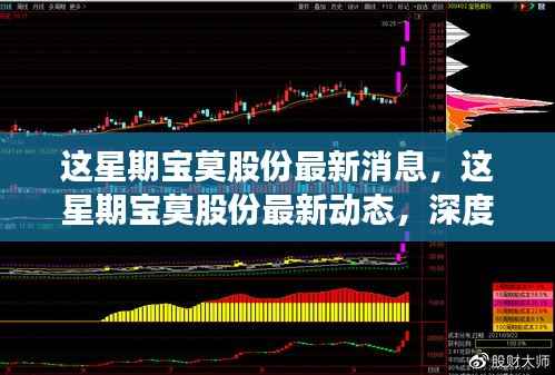 宝莫股份最新动态及前景展望,深度解析与消息速递