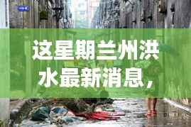 揭秘兰州洪水背后的故事,小巷风情与特色小店的奇遇最新消息