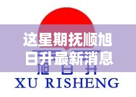 本周独家揭秘,抚顺旭日升最新动态与消息速递!