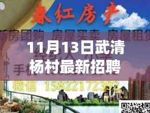 11月13日武清杨村最新招聘全面评测报告