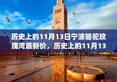 历史上的11月13日宁波骆驼玫瑰湾房地产市场最新动态与趋势分析,最新价及市场分析标题