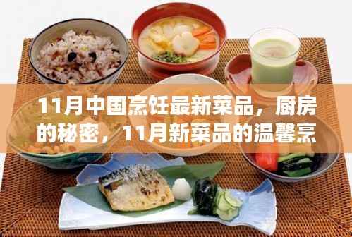 11月新菜品探秘,厨房的秘密与烹饪之旅的温馨体验