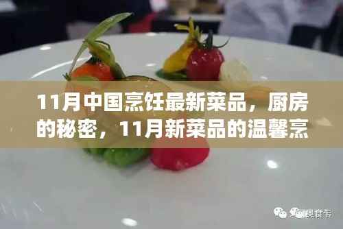 11月新菜品探秘,厨房的秘密与烹饪之旅的温馨体验