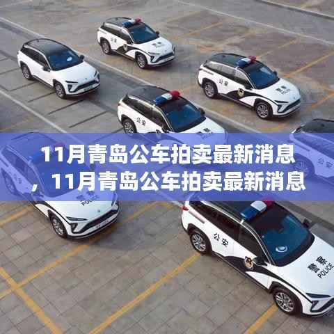 青岛11月公车拍卖最新动态,处置细节全面解析