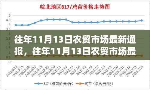 往年11月13日农贸市场最新动态通报与更新消息