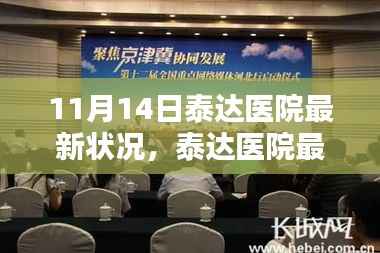 11月14日泰达医院最新状况报道，动态分析与要点聚焦