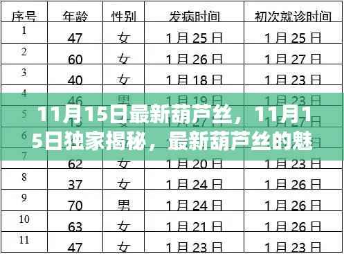 独家揭秘,最新葫芦丝的魅力与独特之处(11月15日更新)