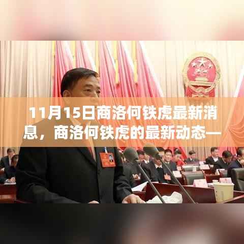 商洛何铁虎最新动态，聚焦11月15日消息更新