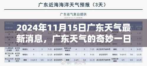 广东天气,奇妙一日的温馨际遇(2024年11月15日最新消息)