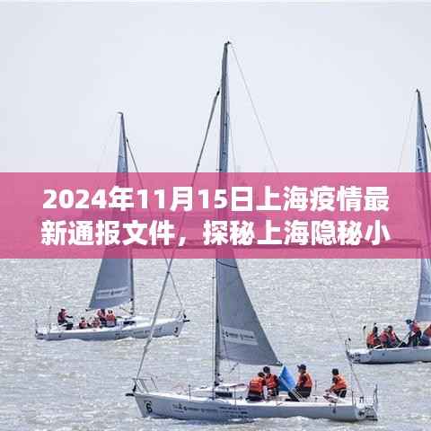 上海疫情最新通报与隐秘小巷的独特风味小店探访纪实（2024年11月）