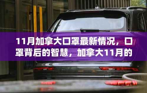 加拿大11月口罩新动态,智慧背后的成长与变化之旅