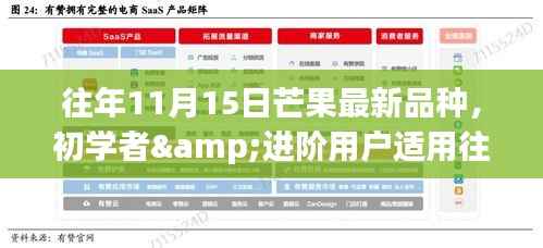 往年11月15日芒果最新品种种植指南,适合初学者与进阶用户的种植步骤