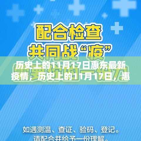 历史上的11月17日惠东疫情概况与应对要点,最新疫情概况及应对要点解析