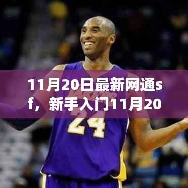 新手攻略手册,最新网通SF入门指南,手把手教你完成任务