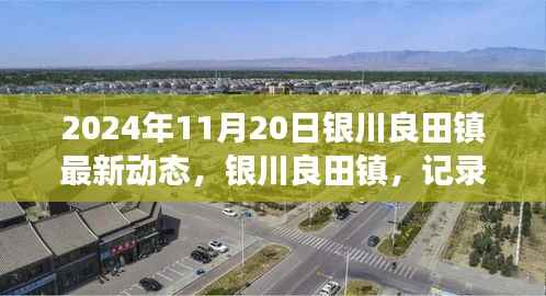 银川良田镇最新动态回顾,记录崭新篇章的2024年11月20日