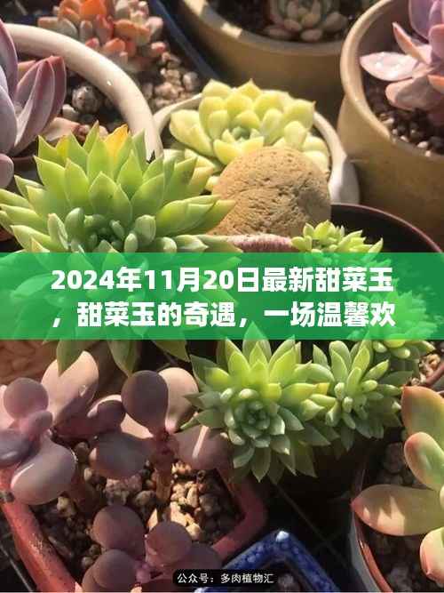 第2070页