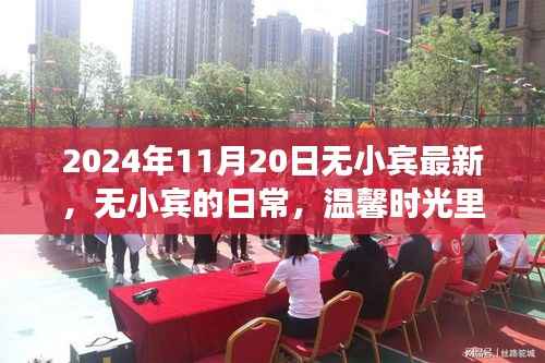 温馨时光里的趣事与友情纽带——无小宾的日常更新分享(2024年11月20日)
