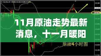 十一月暖阳下的原油之旅，走势最新消息与友情陪伴的温馨故事
