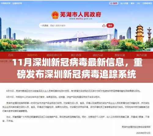 11月深圳新冠病毒最新信息，重磅发布深圳新冠病毒追踪系统，科技前沿的智能守护者，引领抗疫新时代