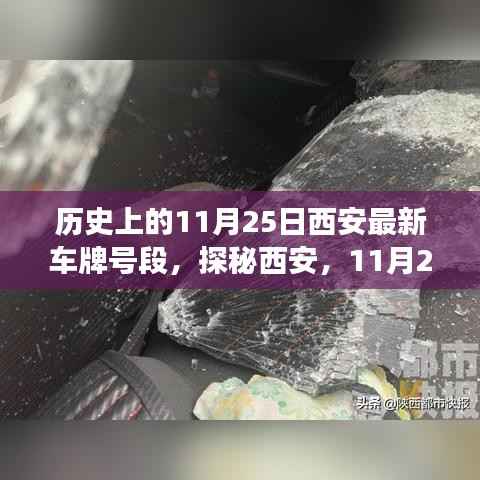 探秘西安,揭秘最新车牌号段下的隐秘小巷美食宝藏(11月25日)