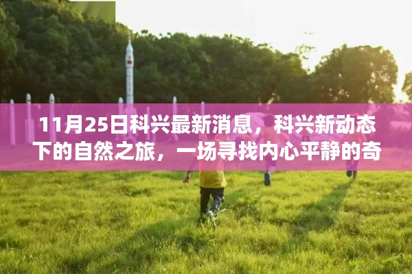 科兴新动态下的自然之旅,寻找内心平静的奇妙探险之旅