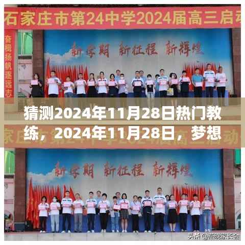 梦想教练启程日,预测与回顾2024年11月28日的热门教练