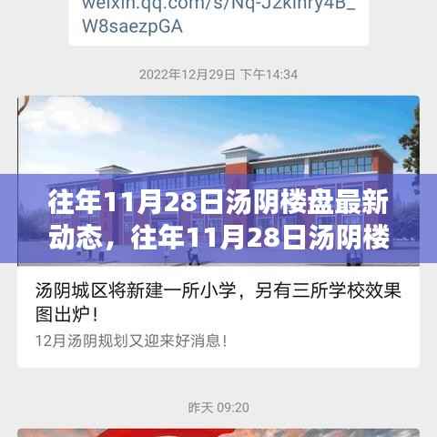 往年11月28日汤阴楼盘动态解析,购房者必备指南