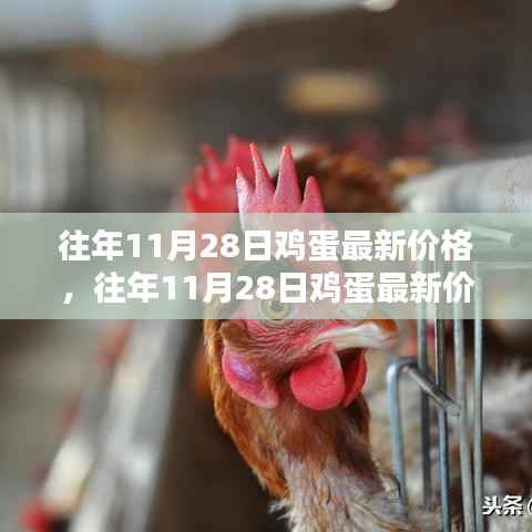 往年11月28日鸡蛋价格深度解析,最新行情与评测介绍