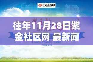 往年11月28日紫金社区网 最新闻，紫金社区网最新闻回顾，11月28日的独特印记与影响