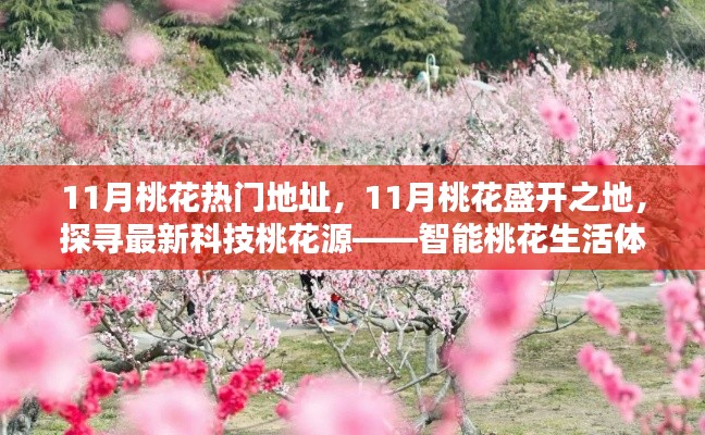 探寻智能桃花生活体验机，揭秘十一月桃花盛开之地的科技桃花源
