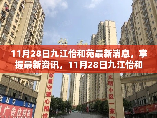 11月28日九江怡和苑最新消息全攻略,掌握最新资讯