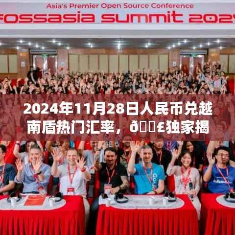 独家揭秘,2024年11月28日人民币兑越南盾汇率走势及热门汇率攻略来袭!