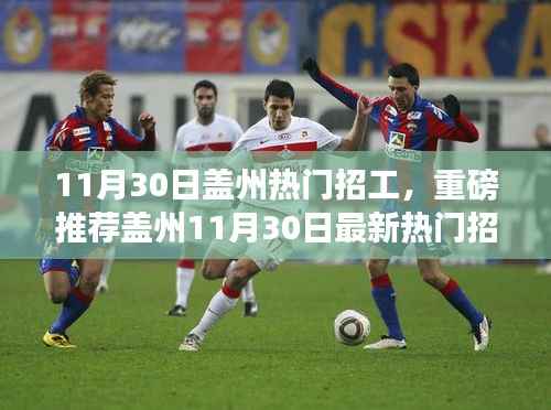 11月30日盖州热门招工,重磅推荐盖州11月30日最新热门招工信息,优质岗位等你来挑!