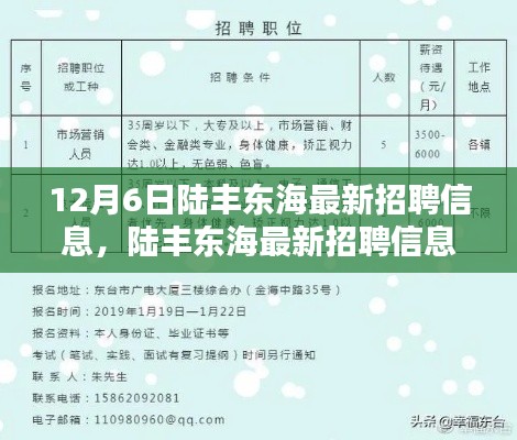 陆丰东海最新招聘信息揭秘,全新职位等你来挑战!