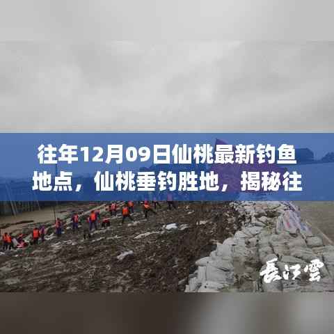 揭秘仙桃垂钓胜地,揭秘往年12月9日最新钓鱼地点背后的故事与魅力