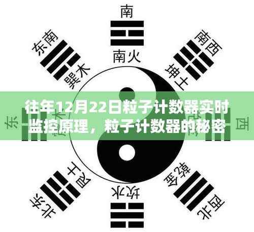 粒子计数器的秘密,实时监控原理与科技魔法屋探索